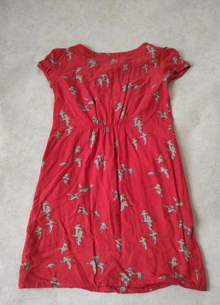 Платье мини туника принт утки вискоза