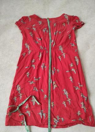 Платье мини туника принт утки вискоза