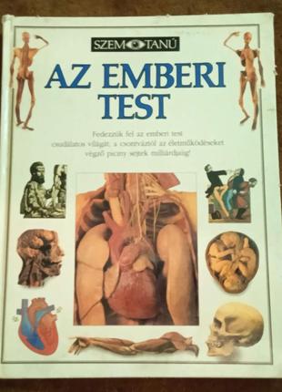 Az emberi test / людське тіло