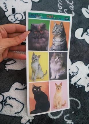 Лист с наклейками 🐱 коты