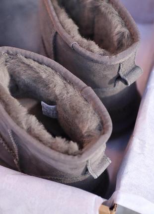 Теплым сапоги ugg mini grey с густым мехом /осень/зима/весна😍4 фото