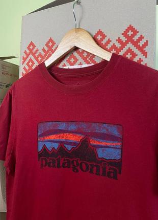 Мужская футболка patagonia big logo