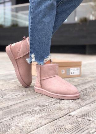 Шикарные замшевые зимние сапоги ugg mini в розовом цвете /осень/зима/весна😍