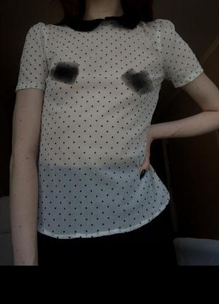 Прозрачная блуза zara1 фото