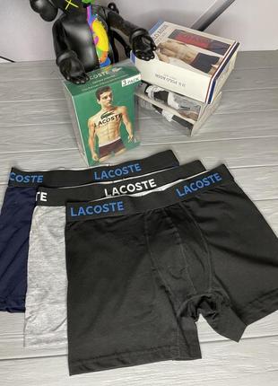 Чоловічий набір трусів lacoste з 3 штук (подарункова упаковка у подарунок)