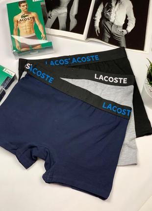 Мужской набор трусов lacoste из 3 штук (подарочная упаковка в подарок)5 фото