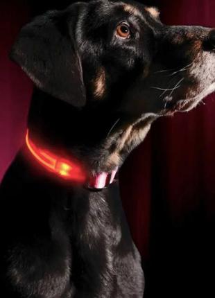 Светящийся led ошейник с аккумулятором для собак для вечерних прогулок с usb зарядкой красный l(36-57см)