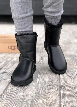 Высокие зимние сапоги ugg из кожи на змейке /осень/зима/весна😍2 фото