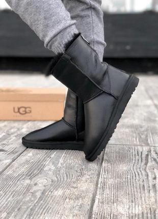 Высокие зимние сапоги ugg из кожи на змейке /осень/зима/весна😍4 фото