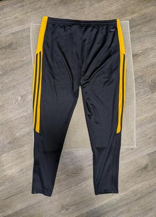 Мужские спортивные штаны adidas mt 14 trgpnt l4 фото