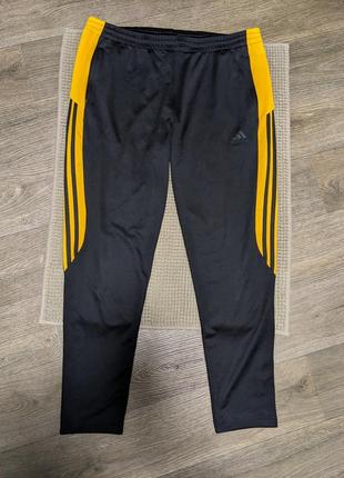 Мужские спортивные штаны adidas mt 14 trgpnt l1 фото