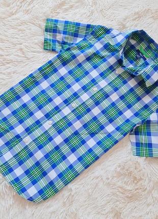 Якісна бавовняна сорочка від gap