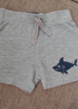 Шорти тонкі з акулою