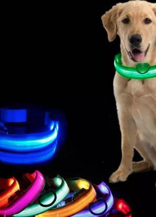 Светящийся led ошейник с аккумулятором для собак для вечерних прогулок с usb зарядкой синий xl(43-66см)1 фото