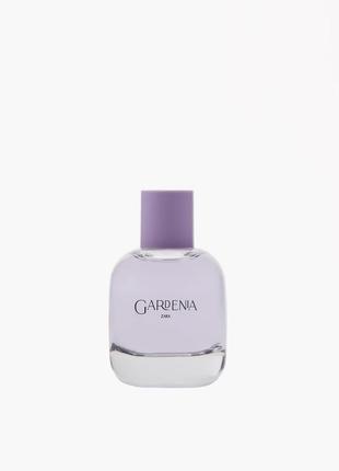 Парфуми zara gardenia 90ml1 фото