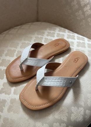 Шльопанці від ugg