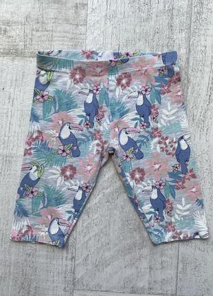 Лосини велосипедки в пелікани