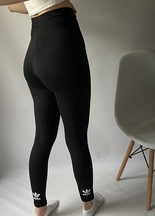 Лосини від бренду adidas
