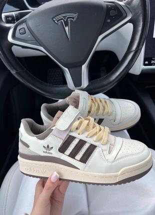 Женские кроссовки adidas forum white brown