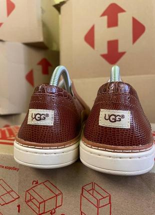 Жіночі шкіряні сліпони , кеди , кросівки ugg hadria croco slip on trainers6 фото