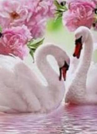 Набор алмазная мозаика вышивка лебединое озеро пара влюбленных лебедей на подрамнике полная 5d 30х40