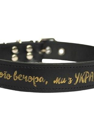 Кожаный ошейник для собак "доброго вечора, ми з україни" черный