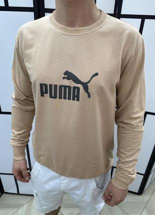 Мужской свитшот puma