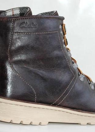 clarks polyveldt