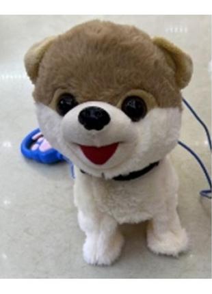 Мягкая игрушка повторюшка собачка на поводке k4106 повтор голоса англ. музыка 23см