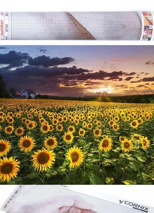 Набір алмазної мозаїки (вишивки) cornix art 40 x 30 см ay22