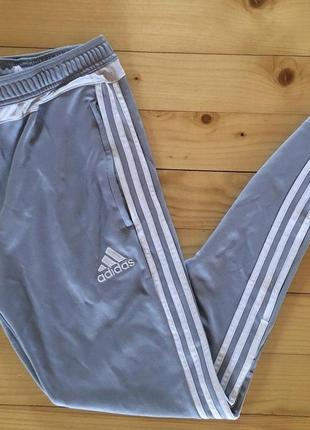 Спортивні штани adidas