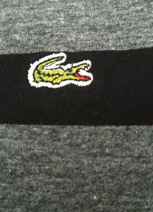 Футболка туника lacoste xs6 фото