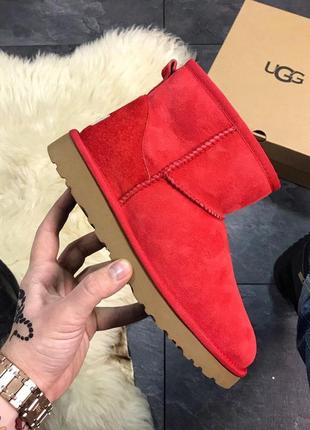 Уггі ugg classic mini (зима)