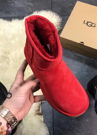 Угги ugg classic mini (зима)2 фото