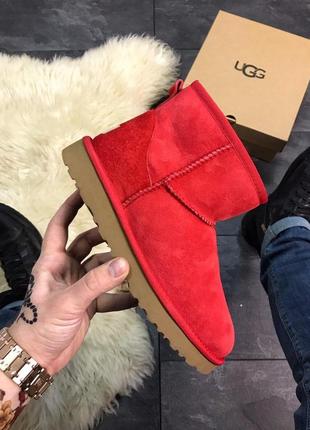 Угги ugg classic mini (зима)3 фото