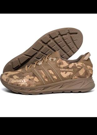 Мужские кроссовки adidas climacool