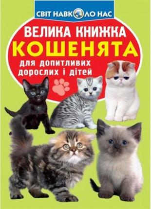 Энциклопедия.большая книга а3: котята (укр.язык) изд-во кристалбук 16стр 240*330мм