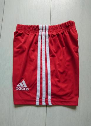 Футбольные шорты adidas fc bayern6 фото