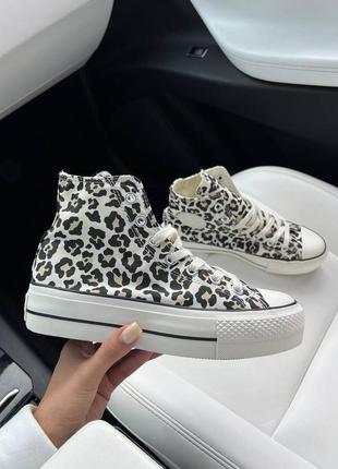 Converse leopard 🔥🔥🔥6 фото