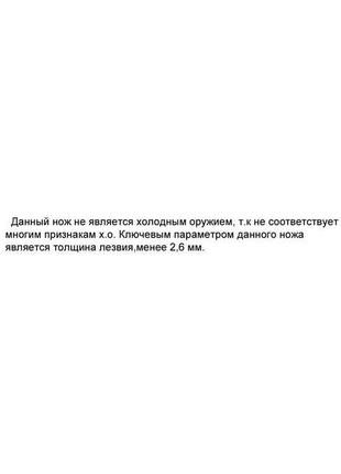 Сокира-тесак цай-дао 2 мисливська, стане вашим хорошим помічником у похідних умовах8 фото