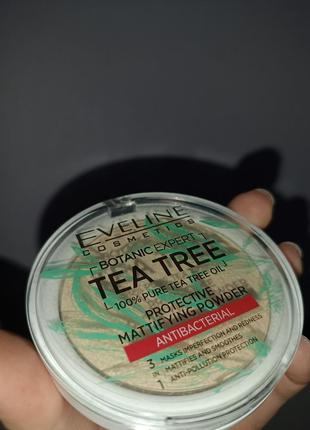 Пудра для обличчя "tea tree" eveline