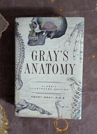 Gray's anatomy. анатомия грея.2 фото