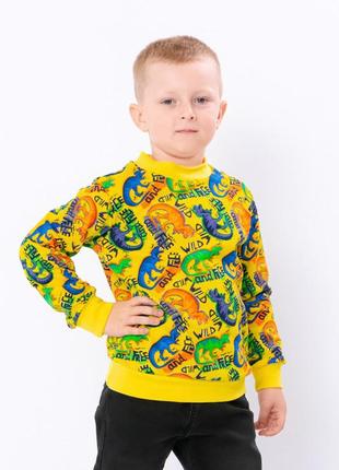 Детский свитшот с начесом, джемпер с динозаврами, кофта, реглан с дыном, худи с начесом