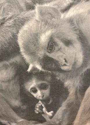 Очень красивая и стильная брендовая майка с обезьянками.5 фото