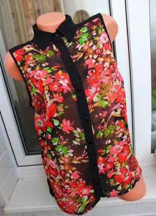 Шифонова 14 рр