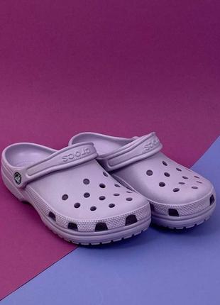 Женские кроксы сабо crocs classic lavander