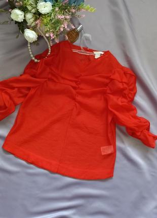📢 тональный распродаж прозрачная блуза h &amp; m1 фото