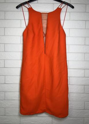Сукня, плаття міні, яскрава, виріз сітка, органза, цікава спинка 961 фото