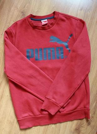 Тепла бордова толстовка світшот з великим лого на грудях puma