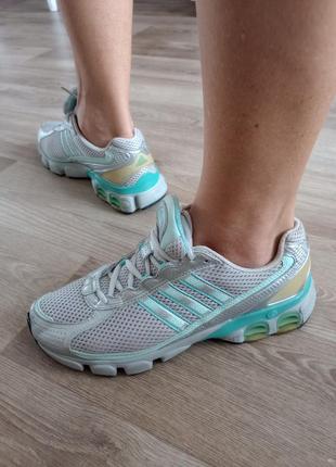 Кросівки. устілка 25см